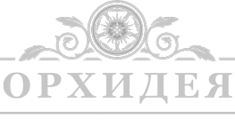 Отель «Орхидея»